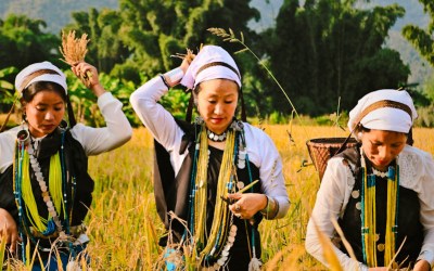 Offbeat Aalo in Arunachal Pradesh: A Complete Travel Guide