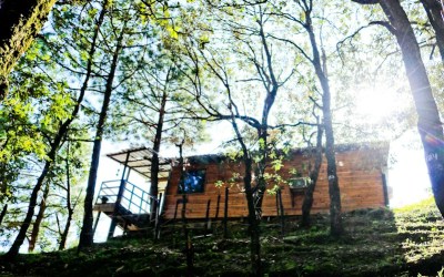 Aamod Shoghi Resort: The Perfect Abode in the Woods
