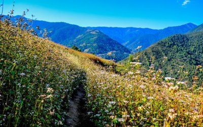 Dirang Valley Trek in Arunachal Pradesh: Everything You Wanted to Know