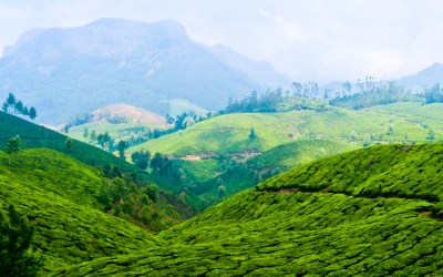 Photo Story: These Breathtaking Photographs Of Munnar Will Make You Want To Travel Immediately