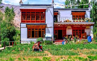 Why I Chose Himalayan Farmstays in Phyang Village in Ladakh: Find Out