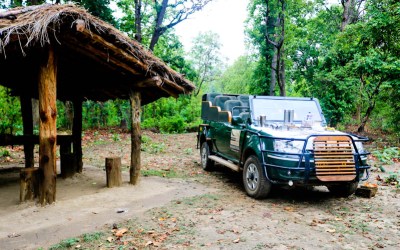 Why “Taj Safaris” Is The Best Choice When It Comes To Experiencing National Parks In India?