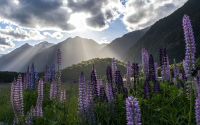 TOP 10 PLACES THAT MAKE NEW ZEALAND A ONCE-IN-A-LIFETIME DESTINATION