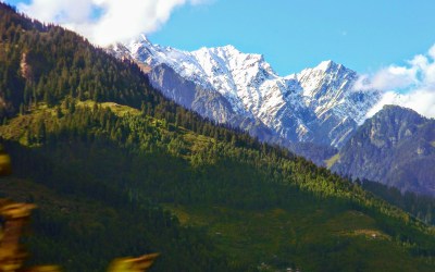 Dayara Bugyal Trek in Uttarakhand: Trek to The Alpine Meadow