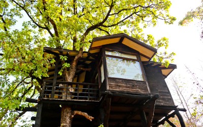 Pench Tree Lodge by Pugdundee Safaris: A Must Have Experience
