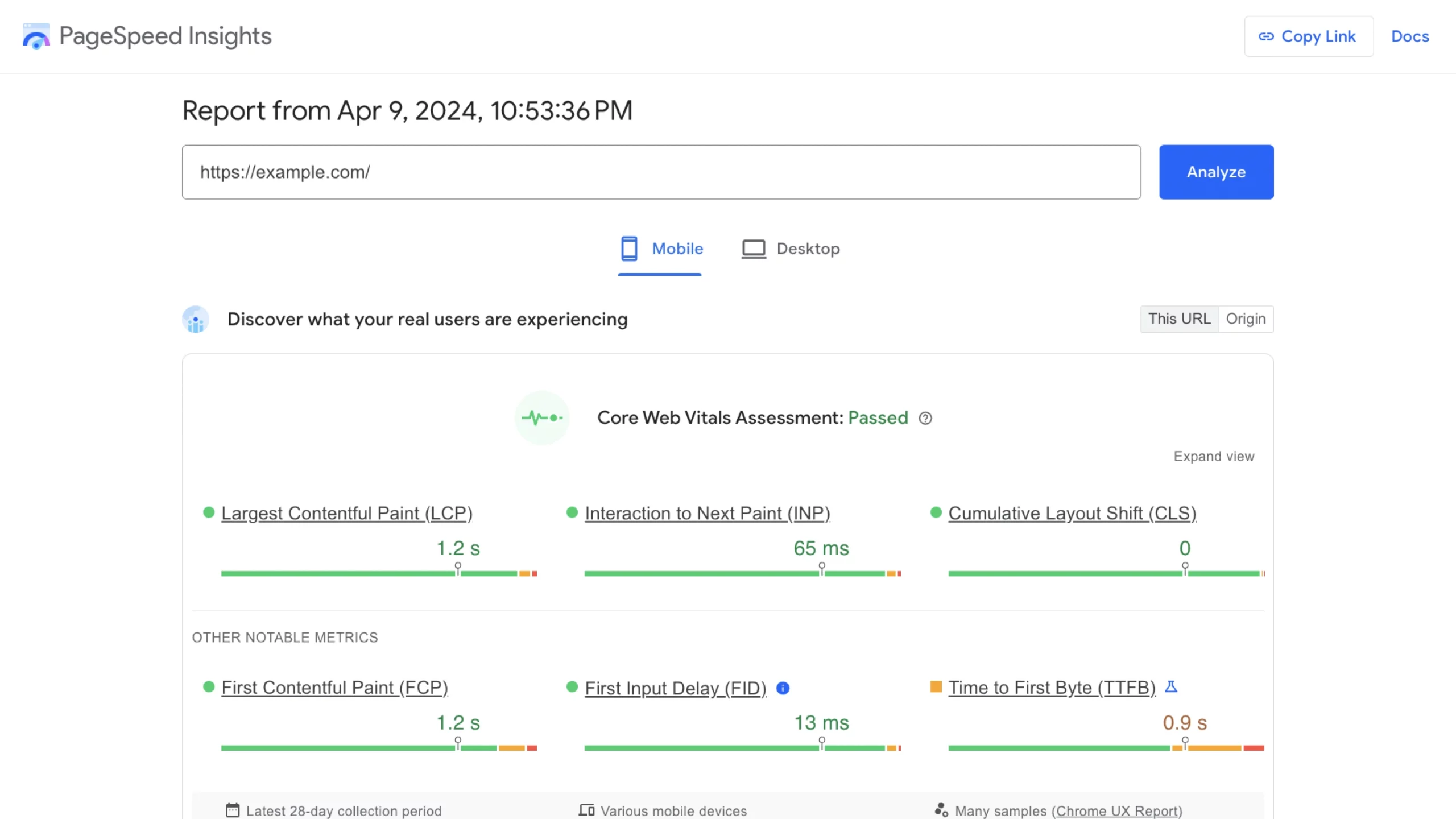 A PageSpeed insights report from April 9, 2024 for the URL: "https://example.com/" with the assessment "Passed."